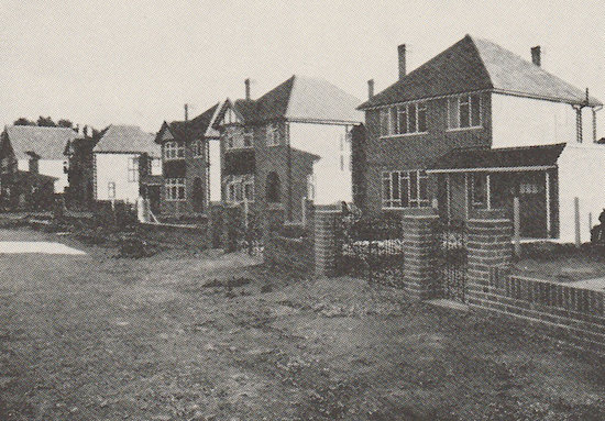 Fig.42 “…but the possibility that our daily surroundings outside our houses and offices might be amenable to design in the same way is slow in being understood’.