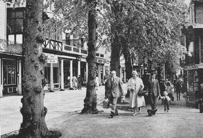 Fig.51 ‘… the freedom with which a person can walk about and look around is a useful guide to the civilised quality of an urban area'.