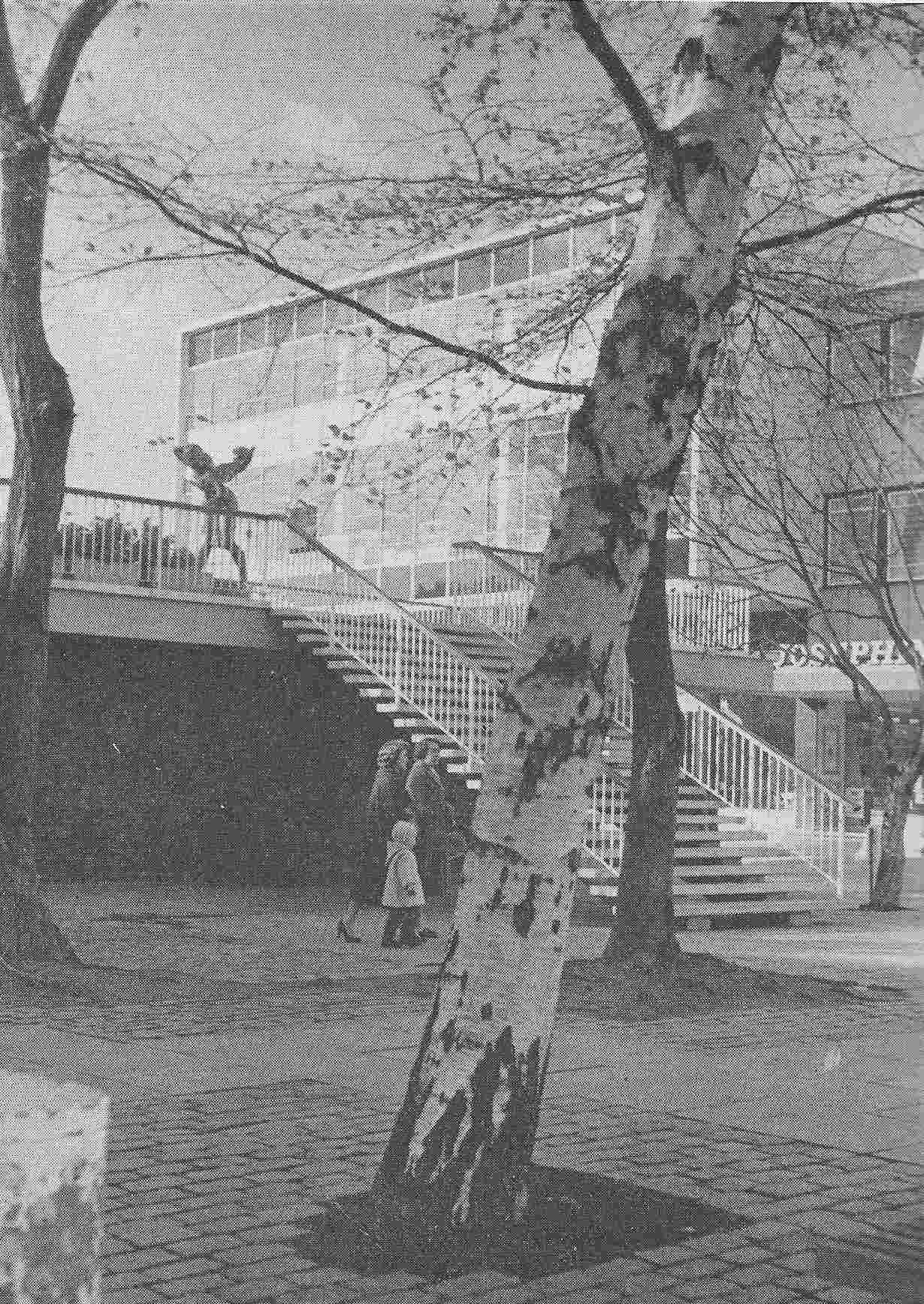 Fig. 211 The pedestrian centre at Stevenage New Town