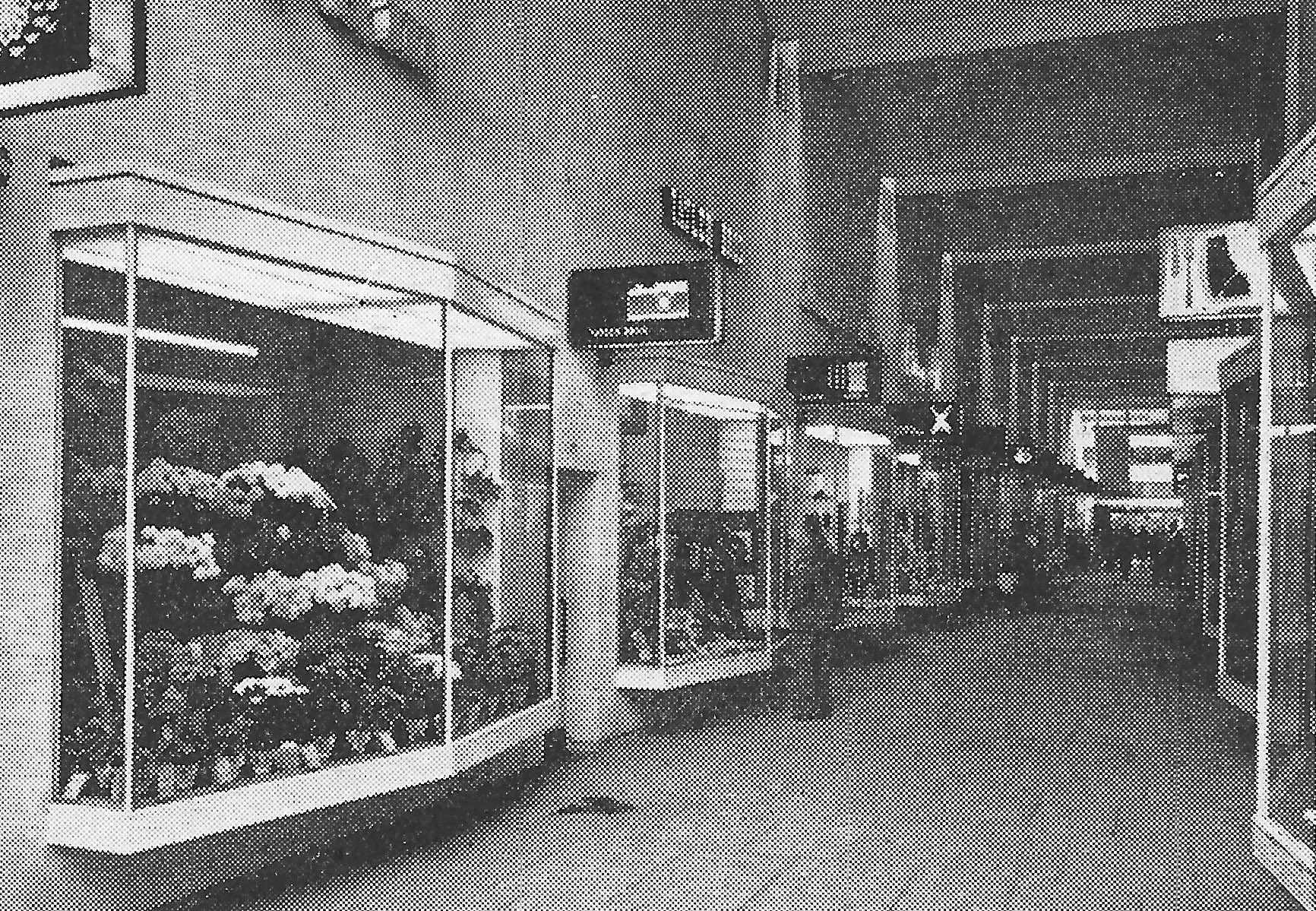 Fig. 220 Coventry. The shopping arcade.